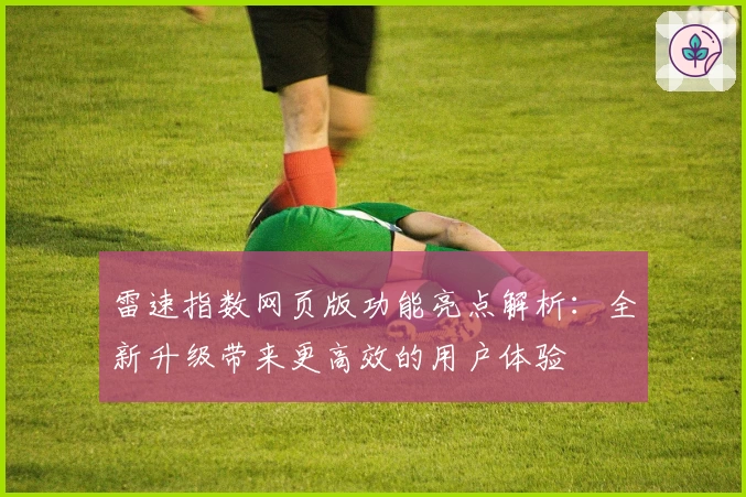 雷速指数网页版功能亮点解析:全新升级带来更高效的用户体验