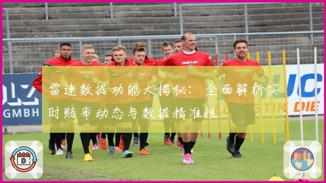 雷速数据功能大揭秘：全面解析实时赔率动态与数据精准性