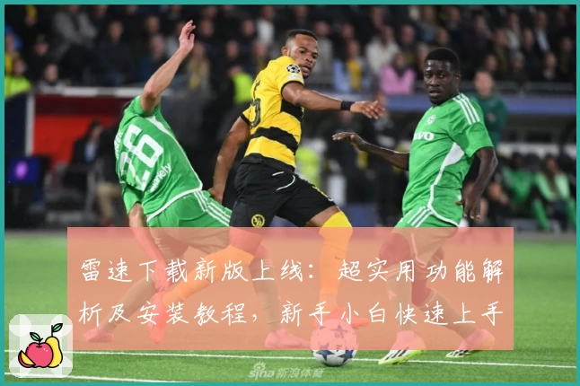 雷速下载新版上线：超实用功能解析及安装教程，新手小白快速上手指南