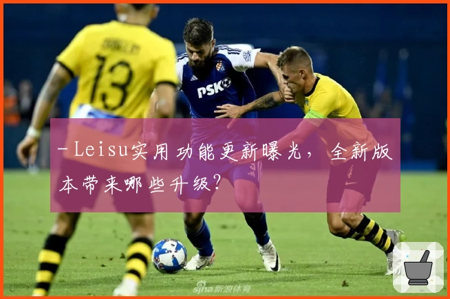 - Leisu实用功能更新曝光,全新版本带来哪些升级?